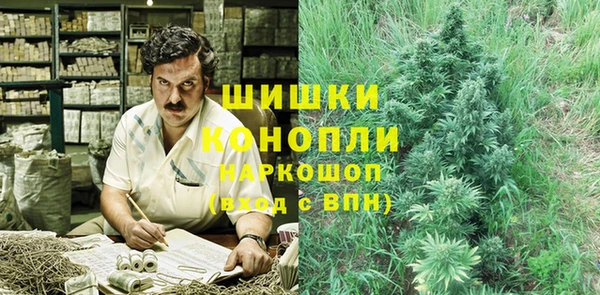 мескалин Заводоуковск