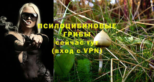 apvp Беломорск