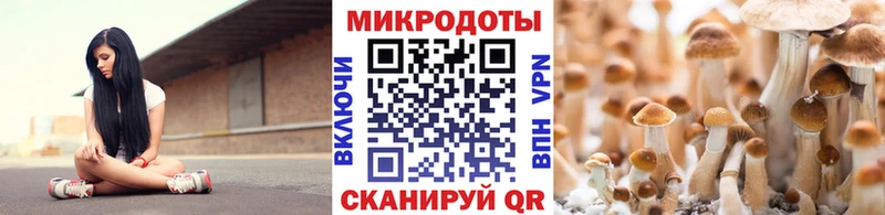 Галлюциногенные грибы мухоморы  Мглин 